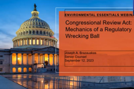 Congressional Review Act: Mechanics of a Regulatory Wrecking Ball