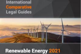Image: Renewable Energy 2021
