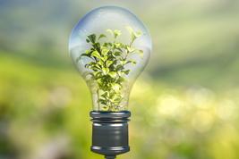 IMAGE: Plant in a Lightbulb