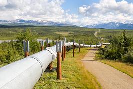 Protecting Critical Energy Infrastructure from Pipeline Sabotage