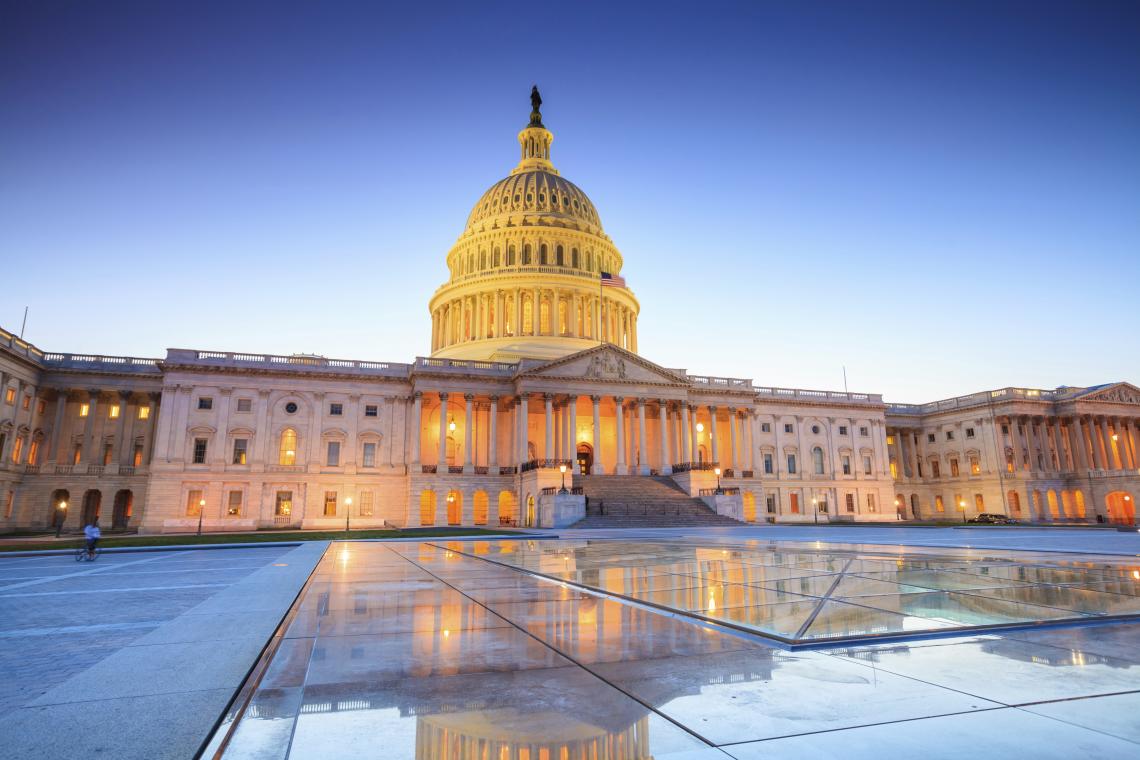 IMAGE: US Capitol Building