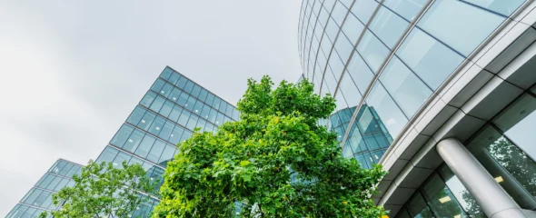 View of buildings and trees