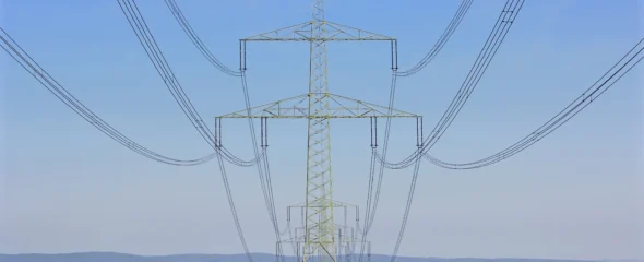 Electric Power Grid