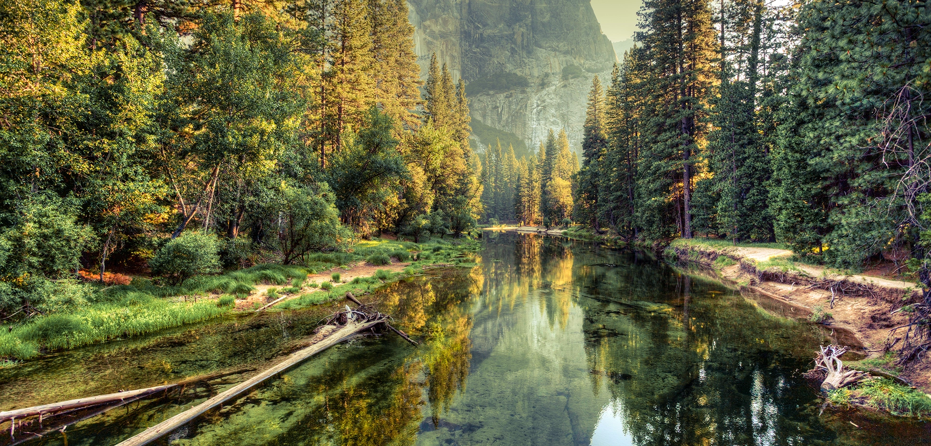 riverbed surrounded by trees