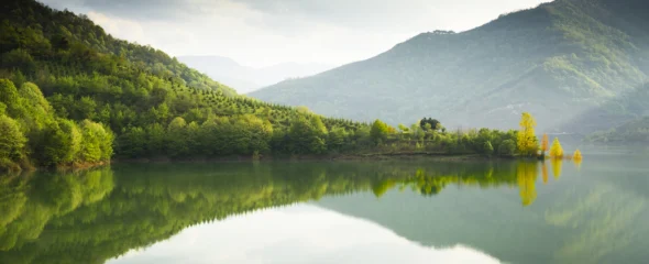 View over lake