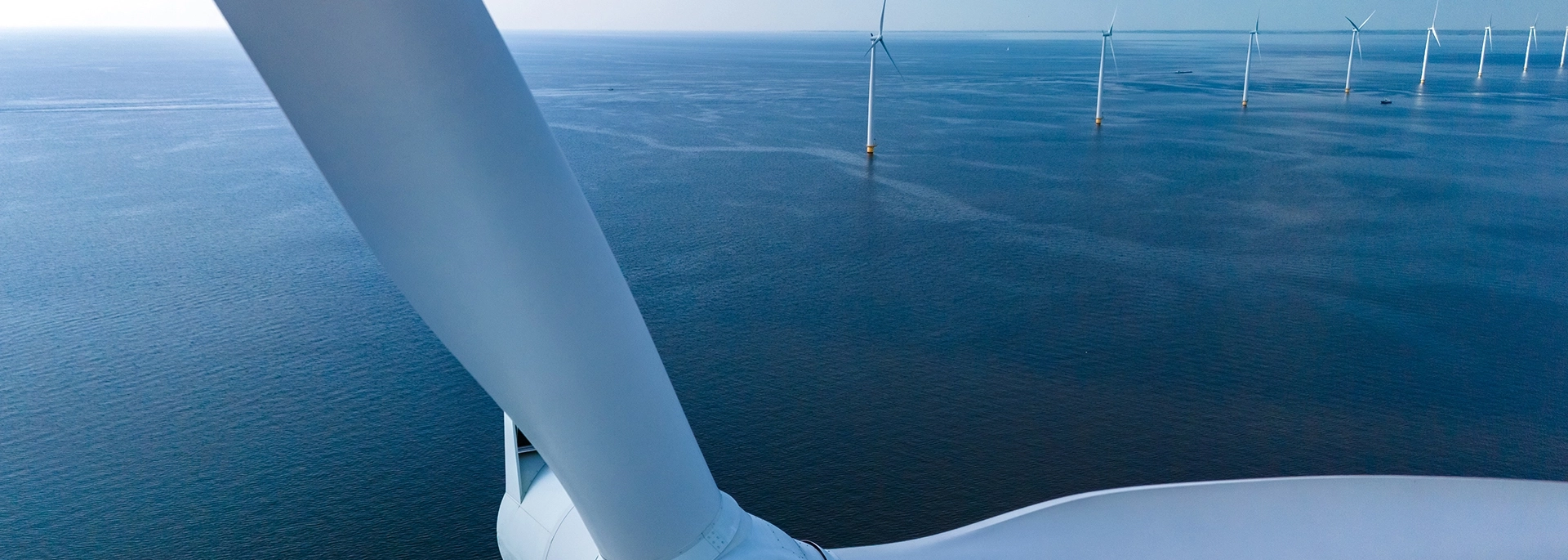 Bracewell Offshore Wind practice banner image, which shows an offshore wind farm.